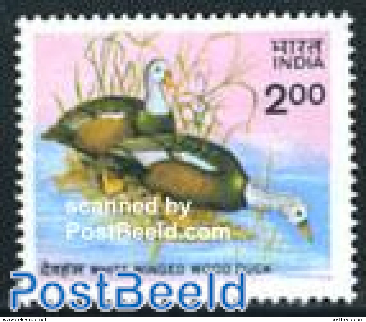 India 1985 Ducks 1v, Mint NH, Nature - Birds - Ducks - Unused Stamps