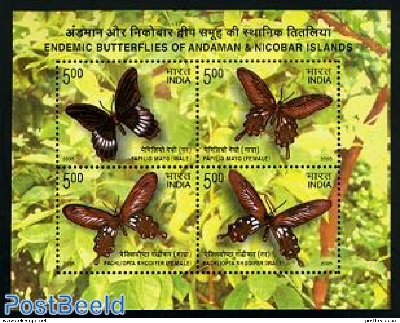 India 2008 Butterflies S/s, Mint NH, Nature - Butterflies - Unused Stamps