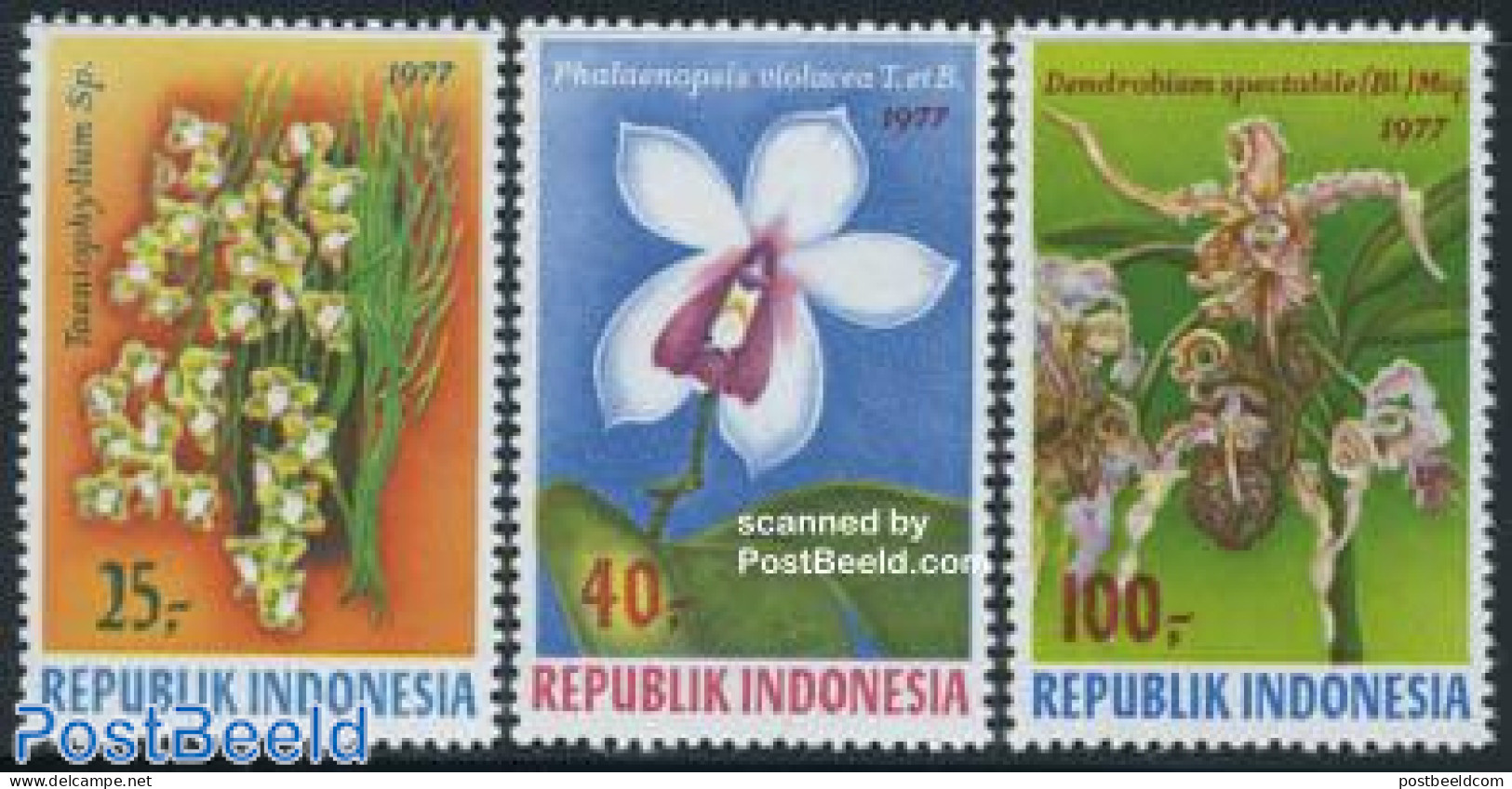 Indonesia 1977 Orchids 3v, Mint NH, Nature - Flowers & Plants - Orchids - Indonesia