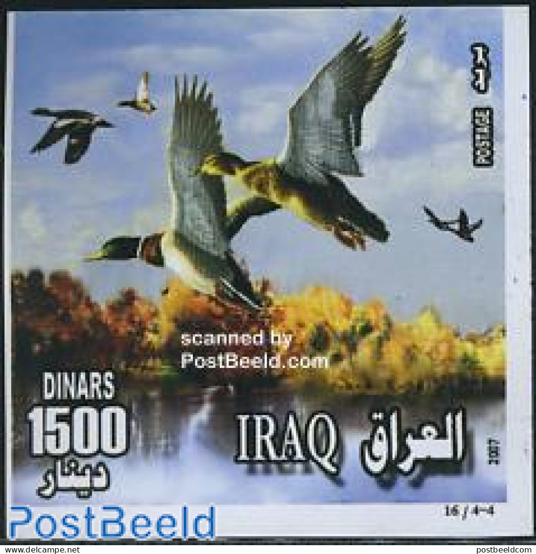 Iraq 2007 Birds (ducks) S/s, Mint NH, Nature - Birds - Ducks - Iraq