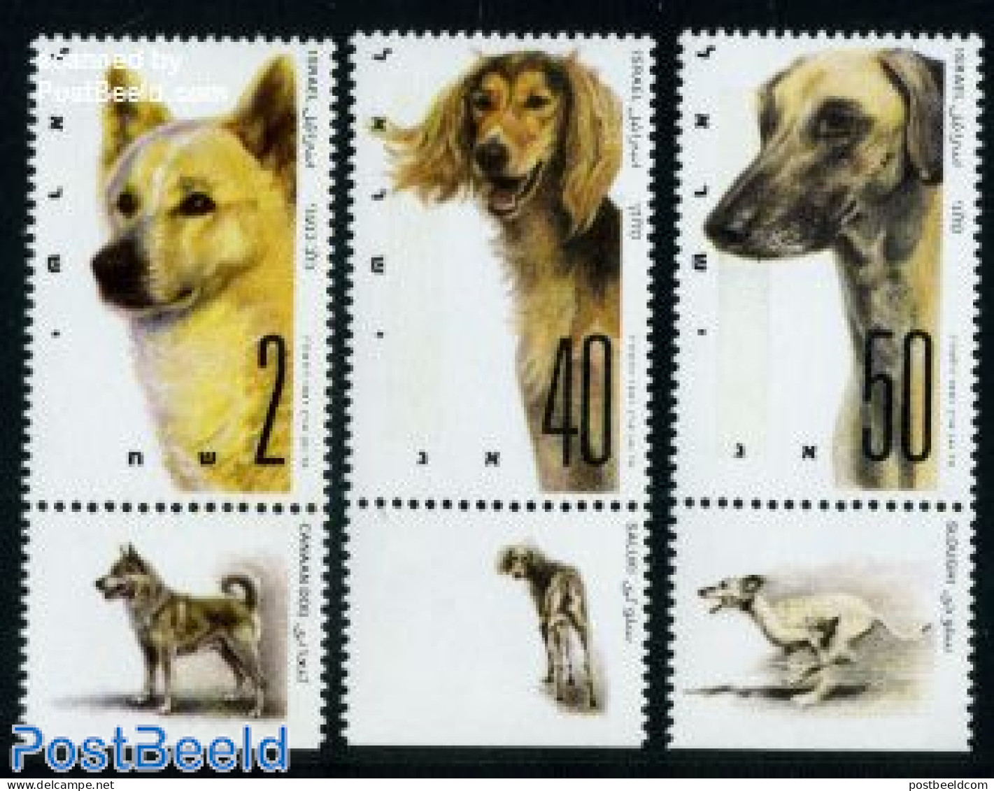 Israel 1987 Dog Exposition 3v, Mint NH, Nature - Dogs - Nuevos (con Tab)