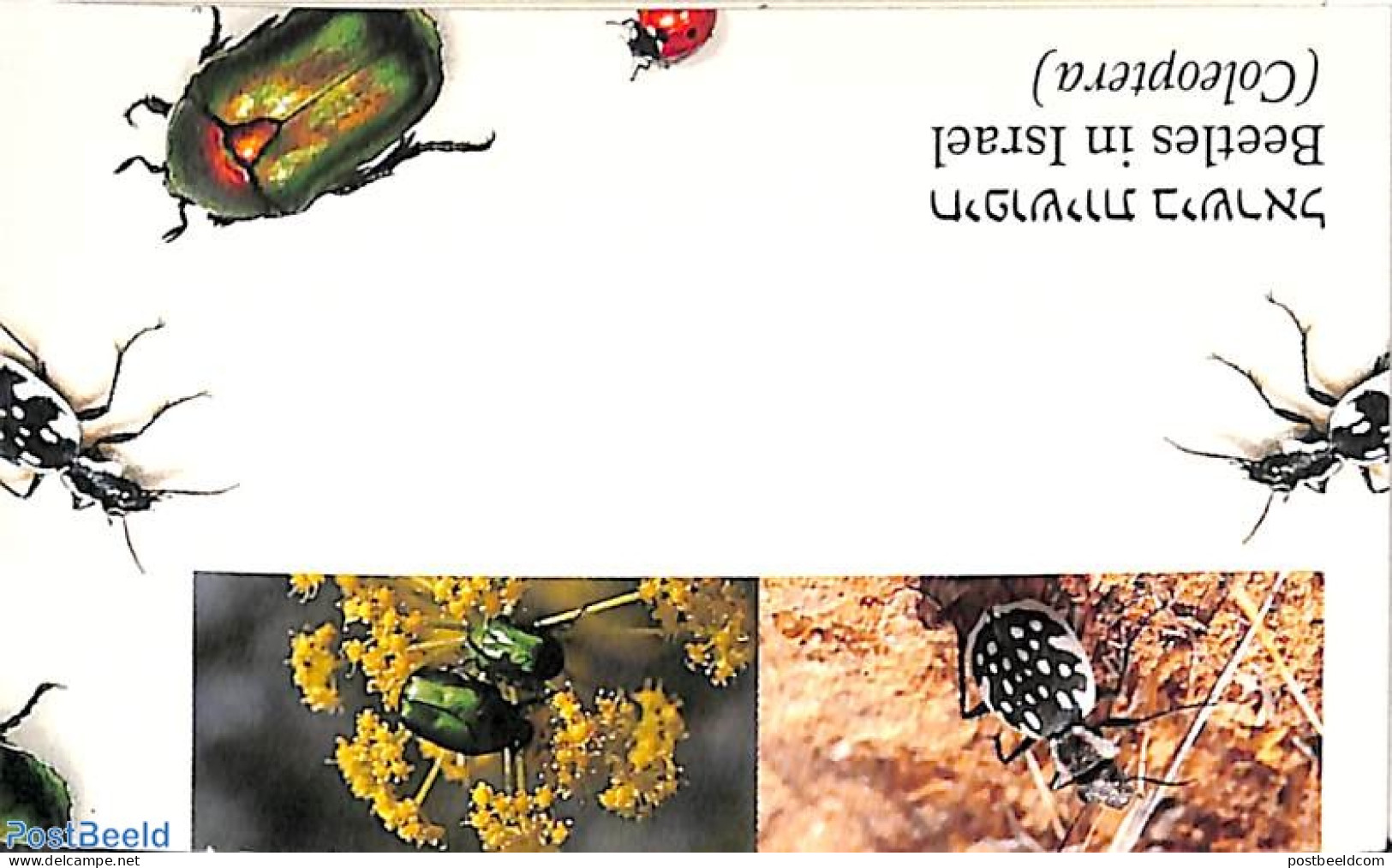 Israel 1994 Beetles Booklet, Mint NH, Nature - Insects - Stamp Booklets - Unused Stamps (with Tabs)