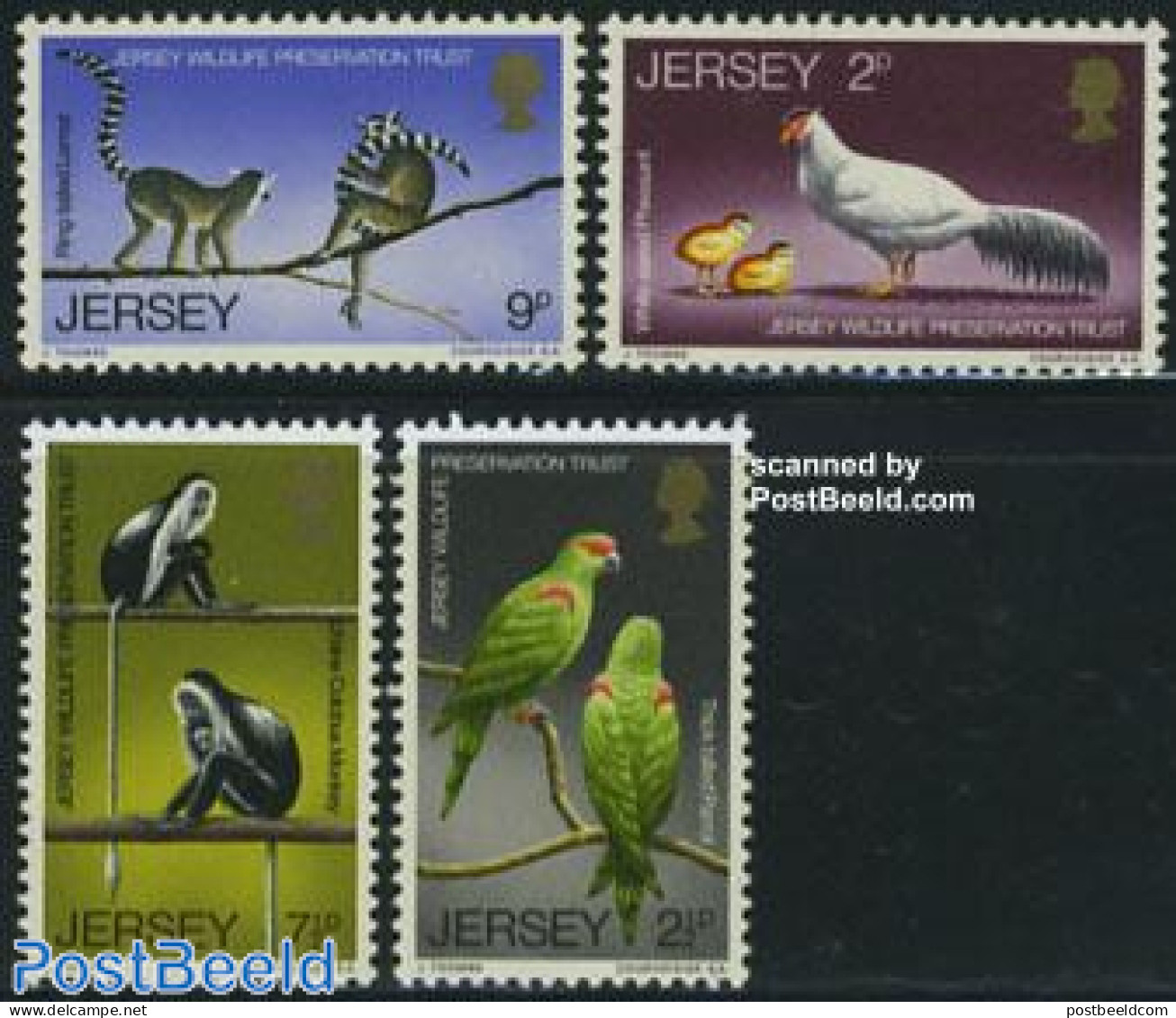 Jersey 1971 Wildlife 4v, Mint NH, Nature - Animals (others & Mixed) - Birds - Monkeys - Parrots - Poultry - Jersey