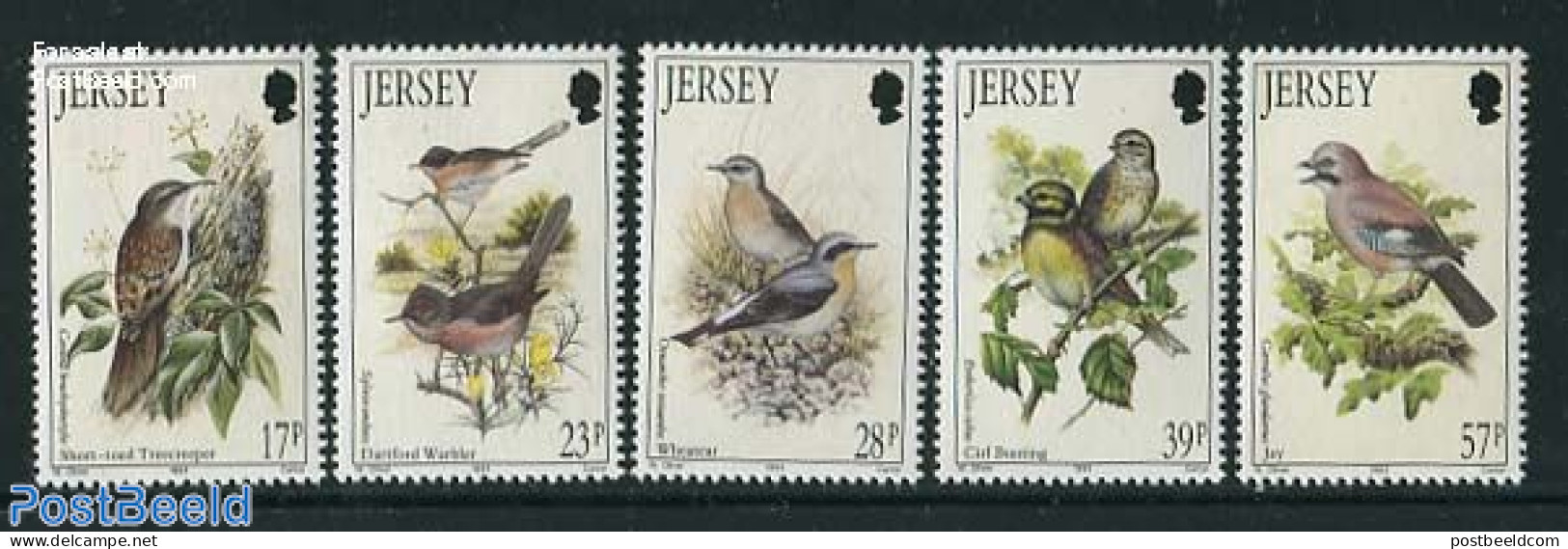 Jersey 1993 Birds 5v, Mint NH, Nature - Birds - Jersey