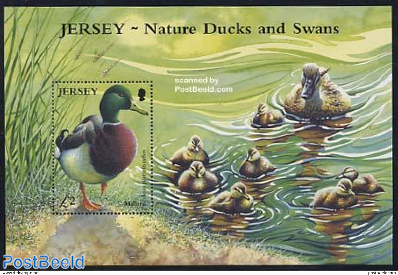 Jersey 2004 Ducks S/s, Mint NH, Nature - Birds - Ducks - Jersey