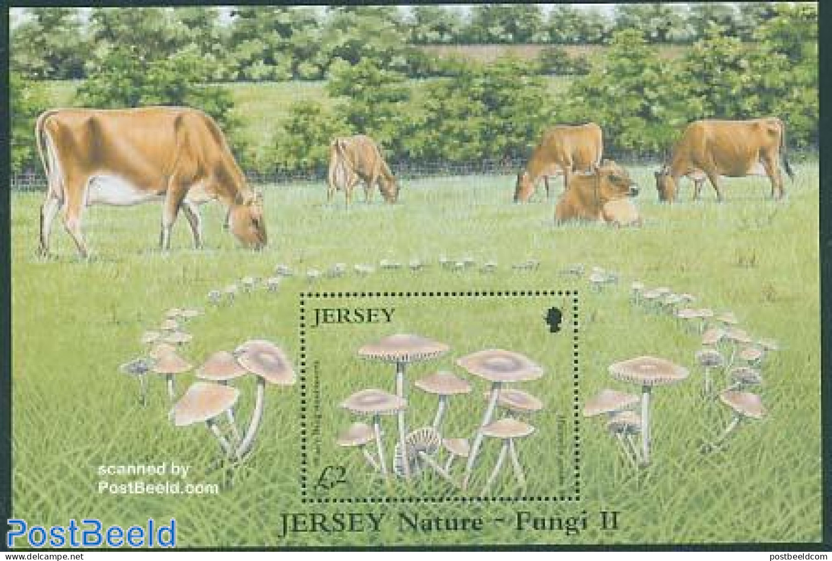 Jersey 2005 Mushrooms S/s, Mint NH, Nature - Cattle - Mushrooms - Mushrooms