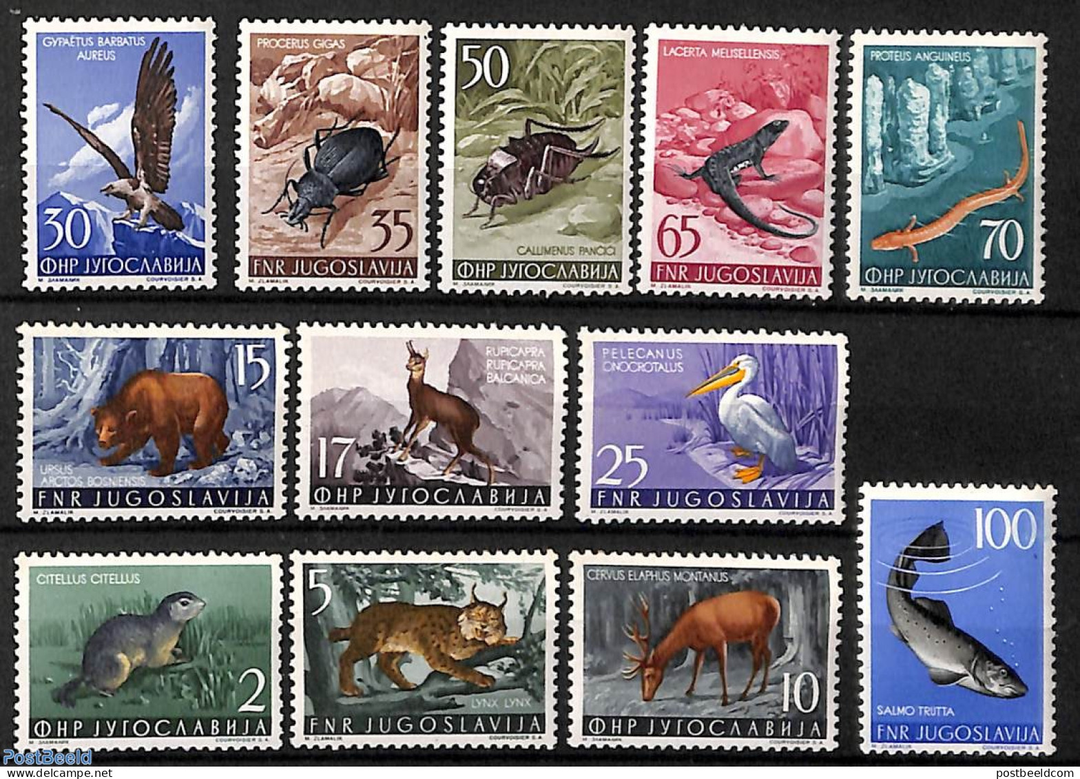 Yugoslavia 1954 Animals 12v, Unused (hinged), Nature - Animals (others & Mixed) - Bears - Birds - Birds Of Prey - Cat .. - Unused Stamps