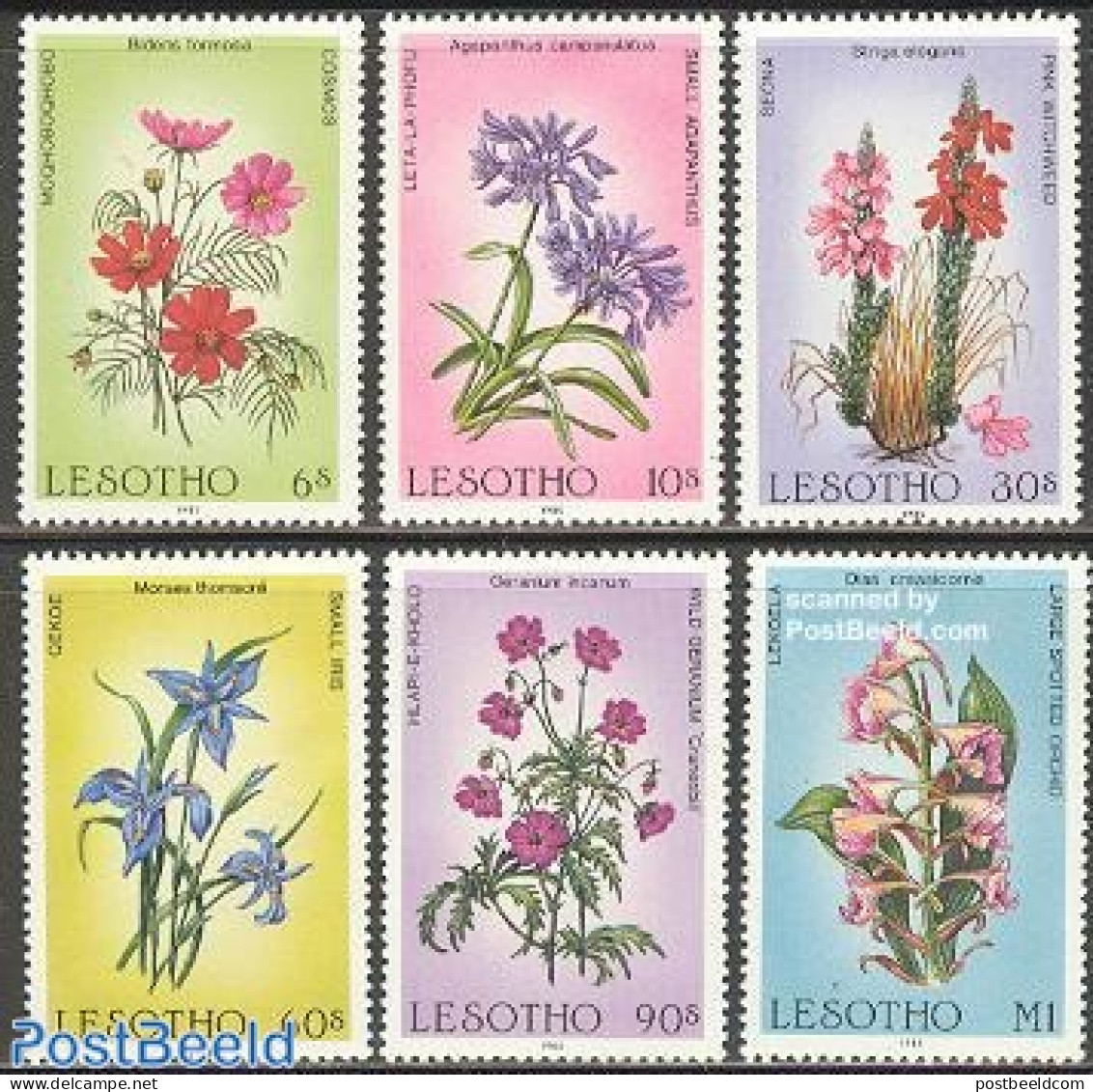 Lesotho 1985 Flowers 6v, Mint NH, Nature - Flowers & Plants - Lesotho (1966-...)
