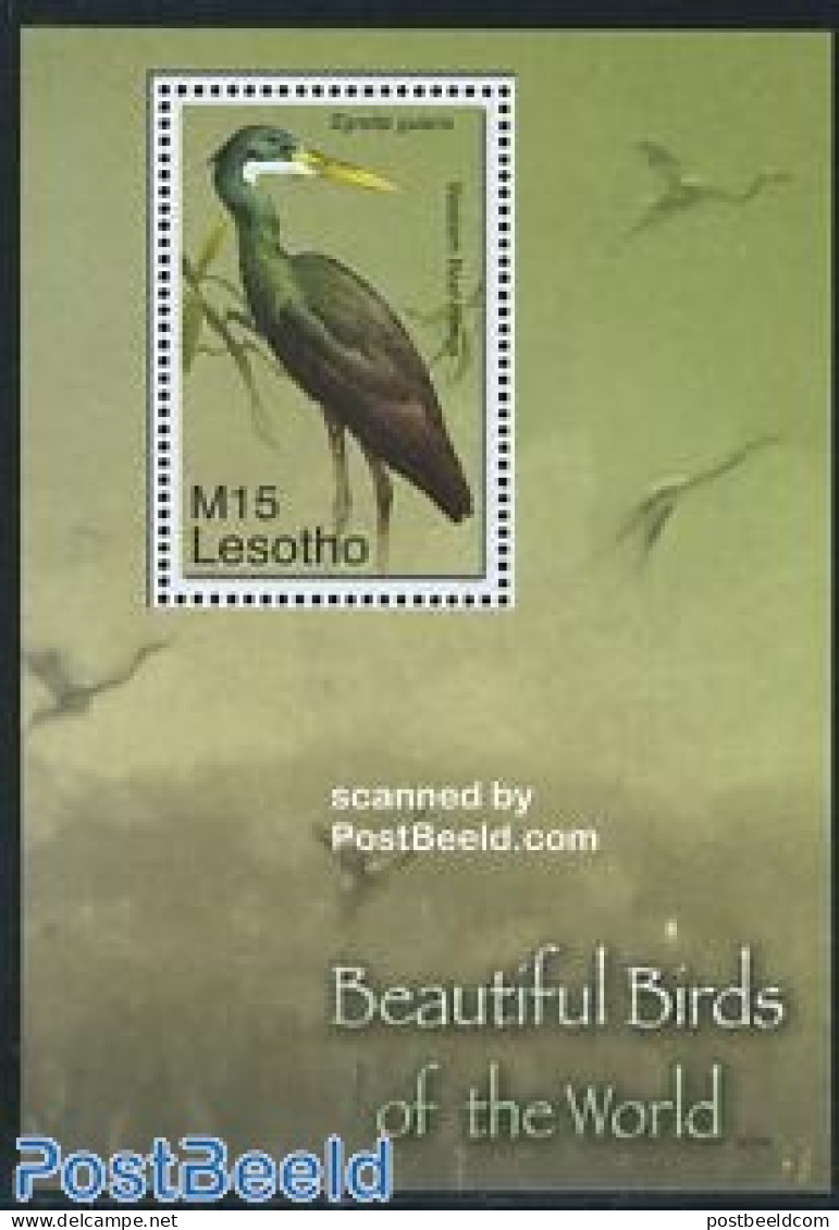 Lesotho 2007 Beautiful Birds S/s, Mint NH, Nature - Birds - Lesotho (1966-...)