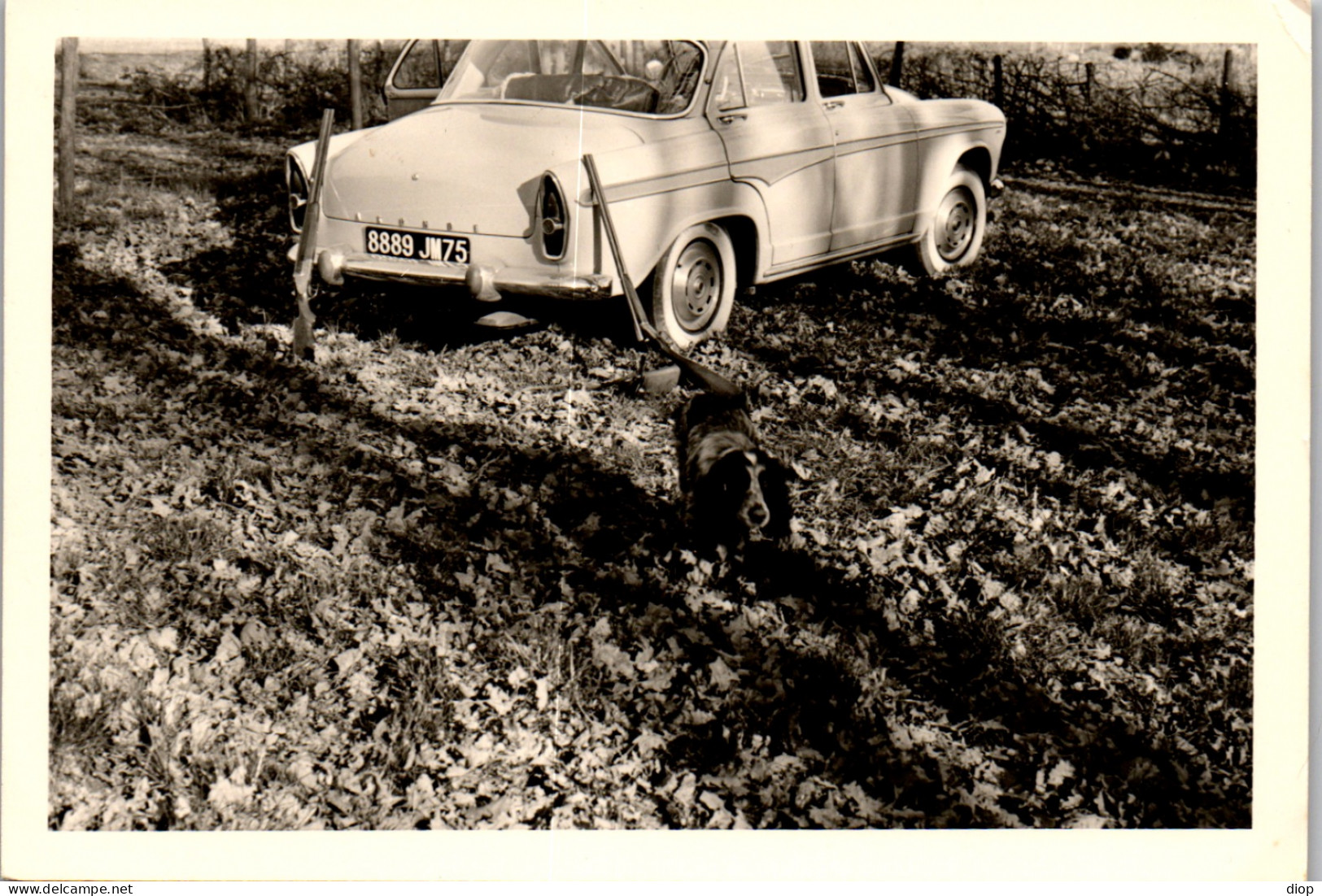 Photographie Photo Vintage Snapshot Amateur Automobile Voiture Auto Chasse - Automobiles