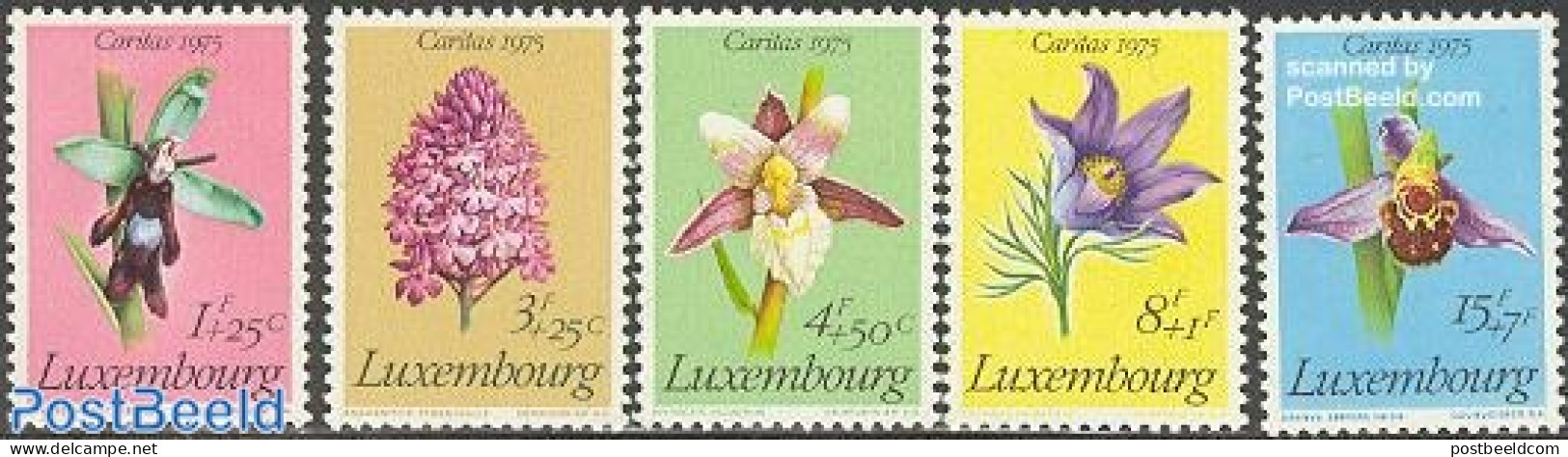 Luxemburg 1975 Caritas, Flowers 5v, Mint NH, Nature - Flowers & Plants - Neufs