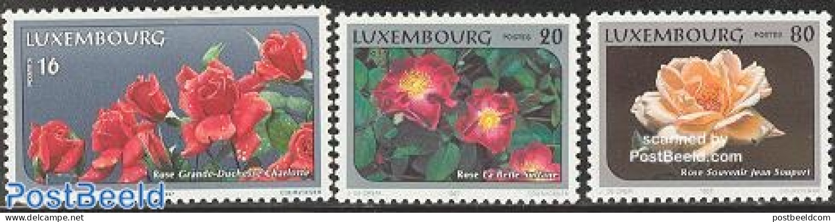 Luxemburg 1997 Roses Congress 3v, Mint NH, Nature - Flowers & Plants - Roses - Neufs