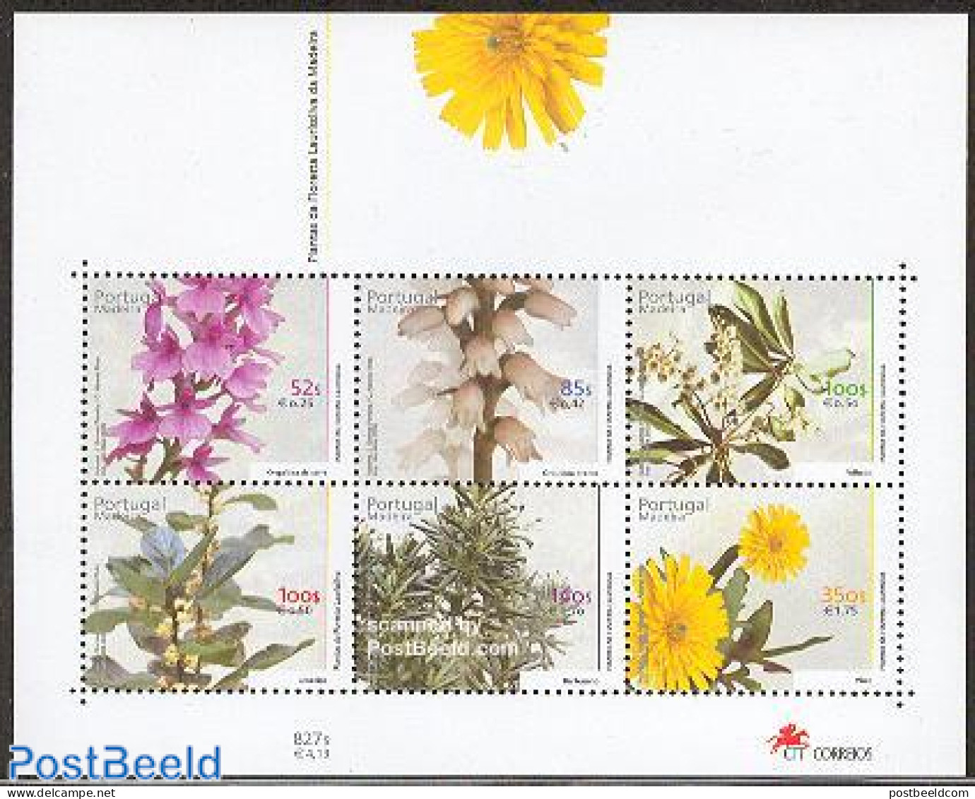 Madeira 2000 Flowers S/s, Mint NH, Nature - Flowers & Plants - Madère