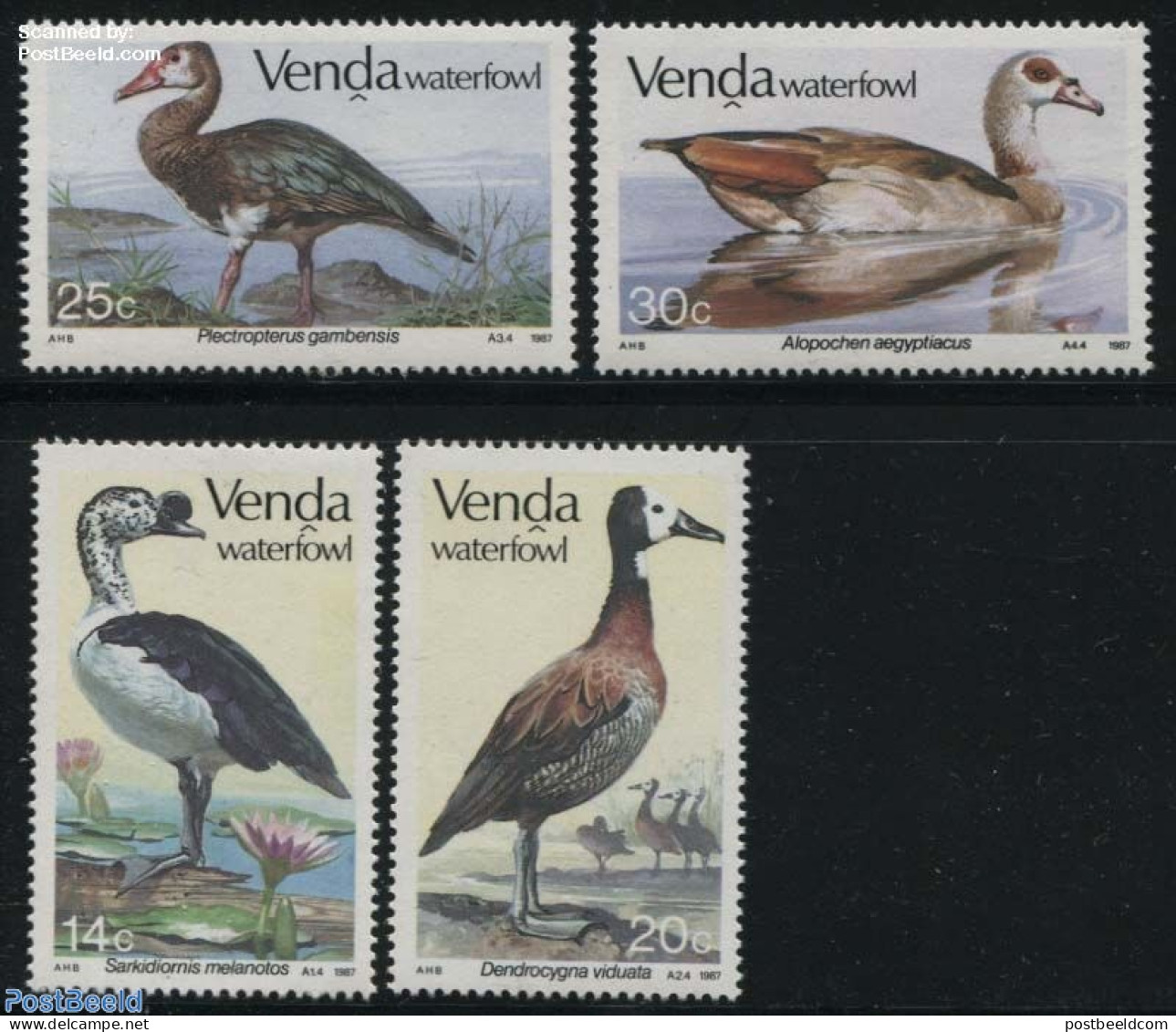 South Africa, Venda 1987 Water Birds 4v, Mint NH, Nature - Birds - Geese - Venda