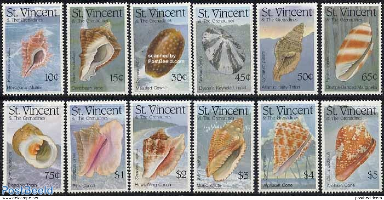 Saint Vincent 1993 Shells 12v, Mint NH, Nature - Shells & Crustaceans - Vie Marine