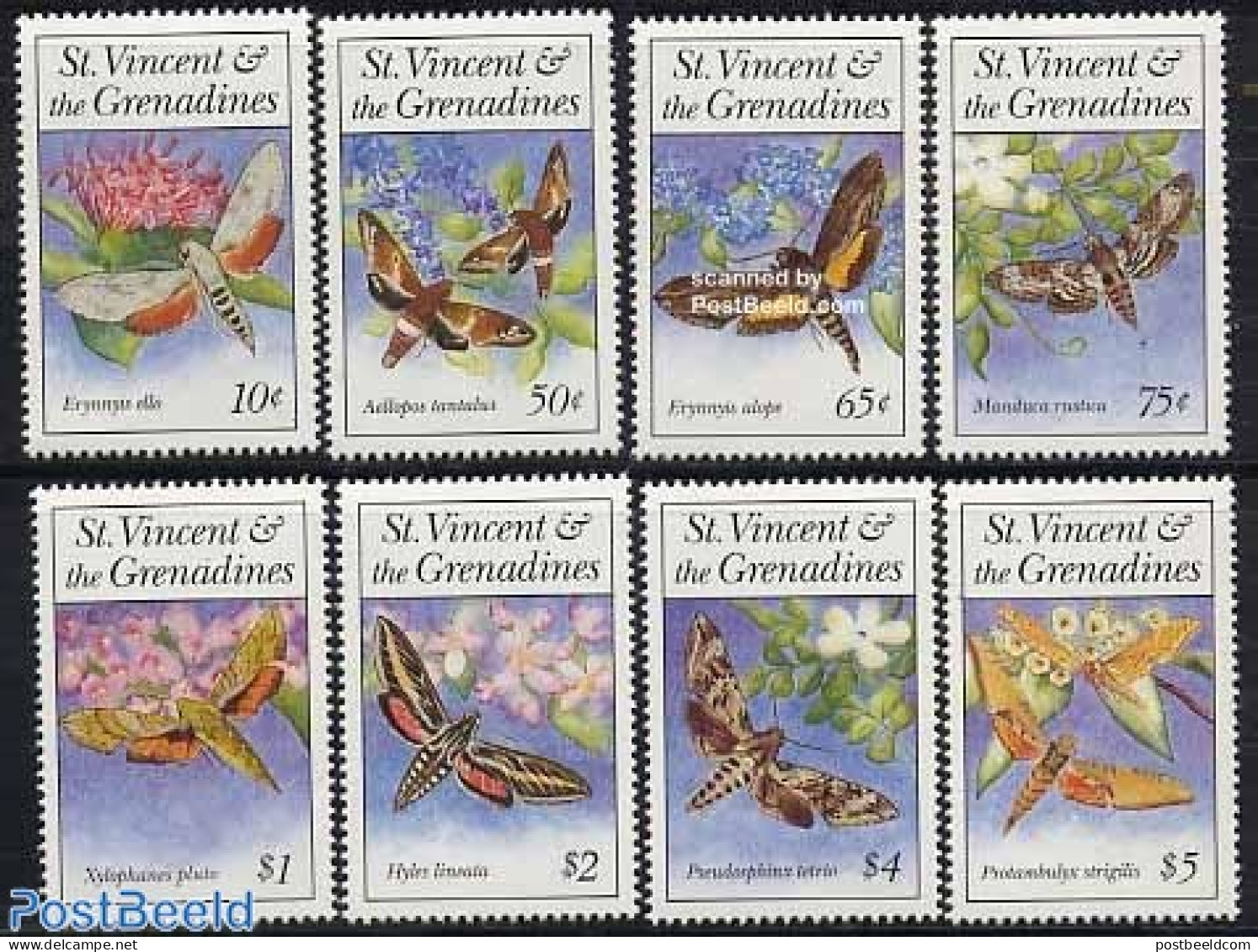 Saint Vincent 1993 Moth 8v, Mint NH, Nature - Insects - St.Vincent (1979-...)