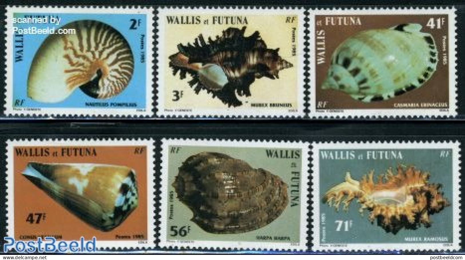 Wallis & Futuna 1985 Shells 6v, Mint NH, Nature - Shells & Crustaceans - Vie Marine