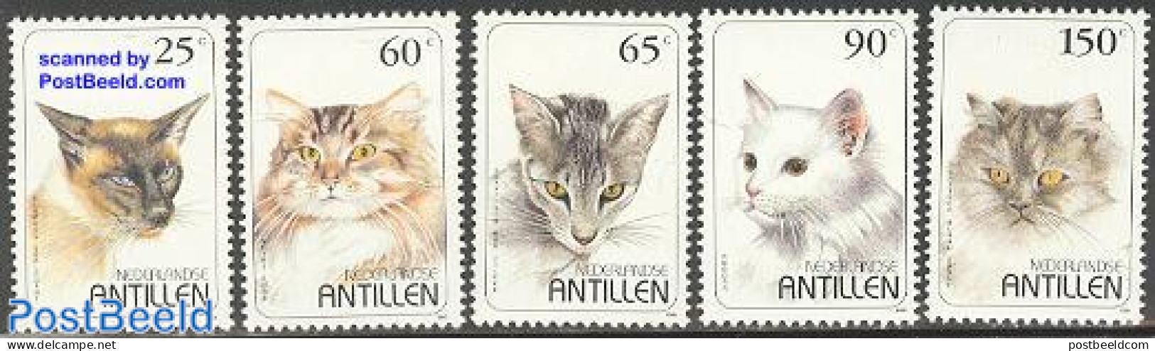 Netherlands Antilles 1995 Cats 5v, Mint NH, Nature - Cats - Sonstige & Ohne Zuordnung