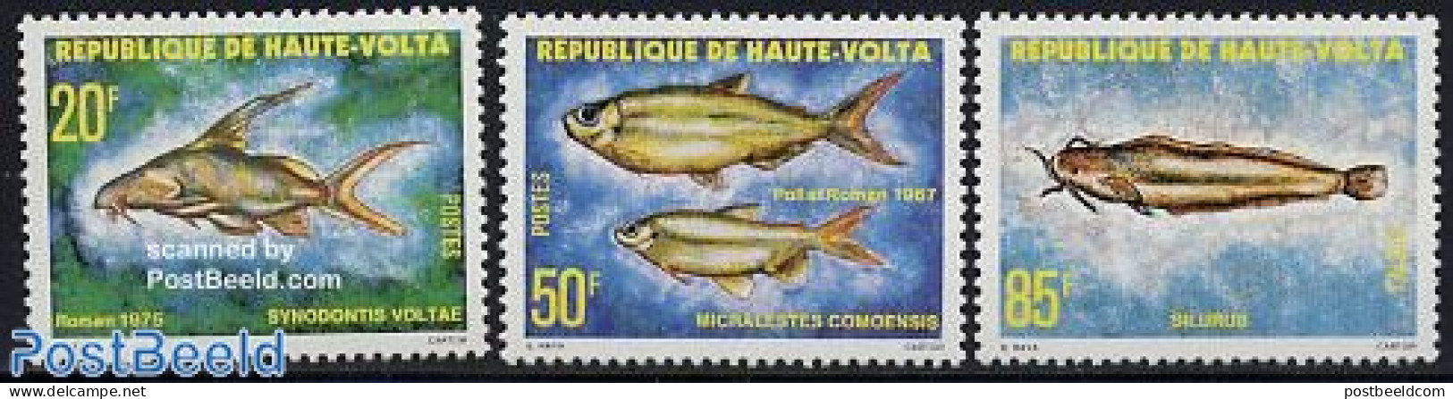 Upper Volta 1979 Fish 3v, Mint NH, Nature - Fish - Fische