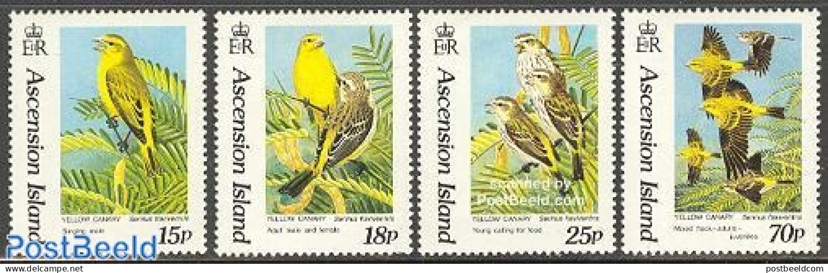Ascension 1993 Yellow Canary 4v, Mint NH, Nature - Birds - Ascension (Ile De L')