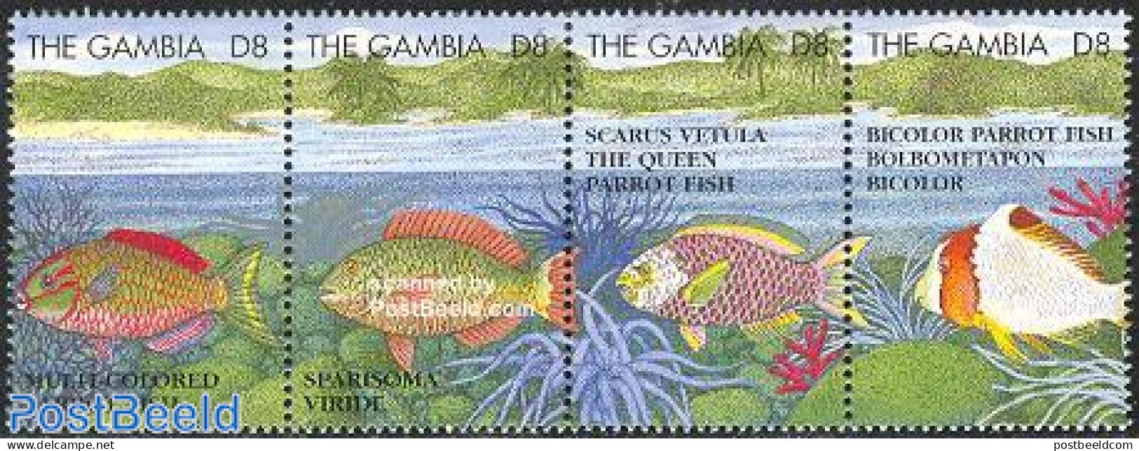 Gambia 1995 Marine Life 4v [:::], Mint NH, Nature - Fish - Poissons