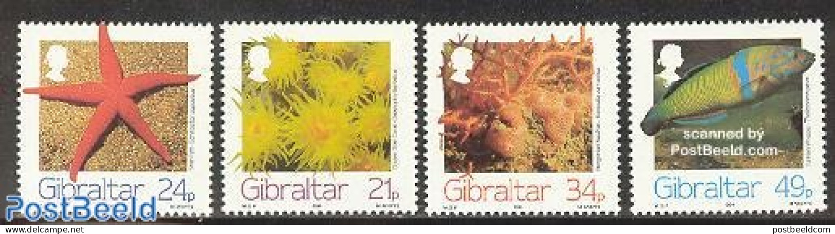 Gibraltar 1994 Marine Life 4v, Mint NH, Nature - Fish - Shells & Crustaceans - Fische