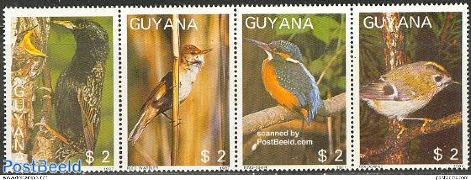 Guyana 1988 Birds 4v [:::], Mint NH, Nature - Birds - Kingfishers - Guiana (1966-...)