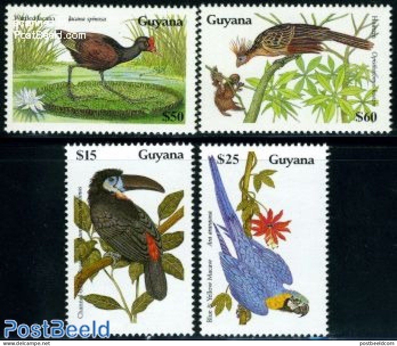 Guyana 1990 Birds 4v, Mint NH, Nature - Birds - Guiana (1966-...)
