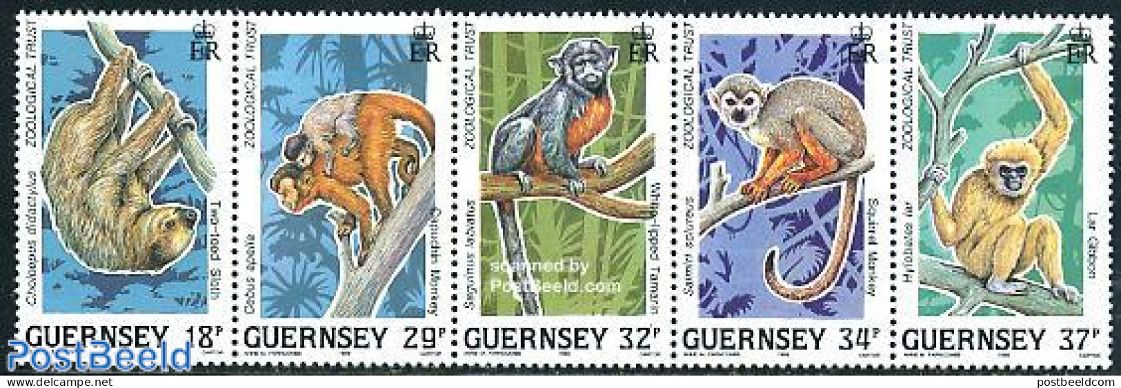 Guernsey 1989 Rain Forest Animals 5v [::::], Mint NH, Nature - Animals (others & Mixed) - Monkeys - Guernesey