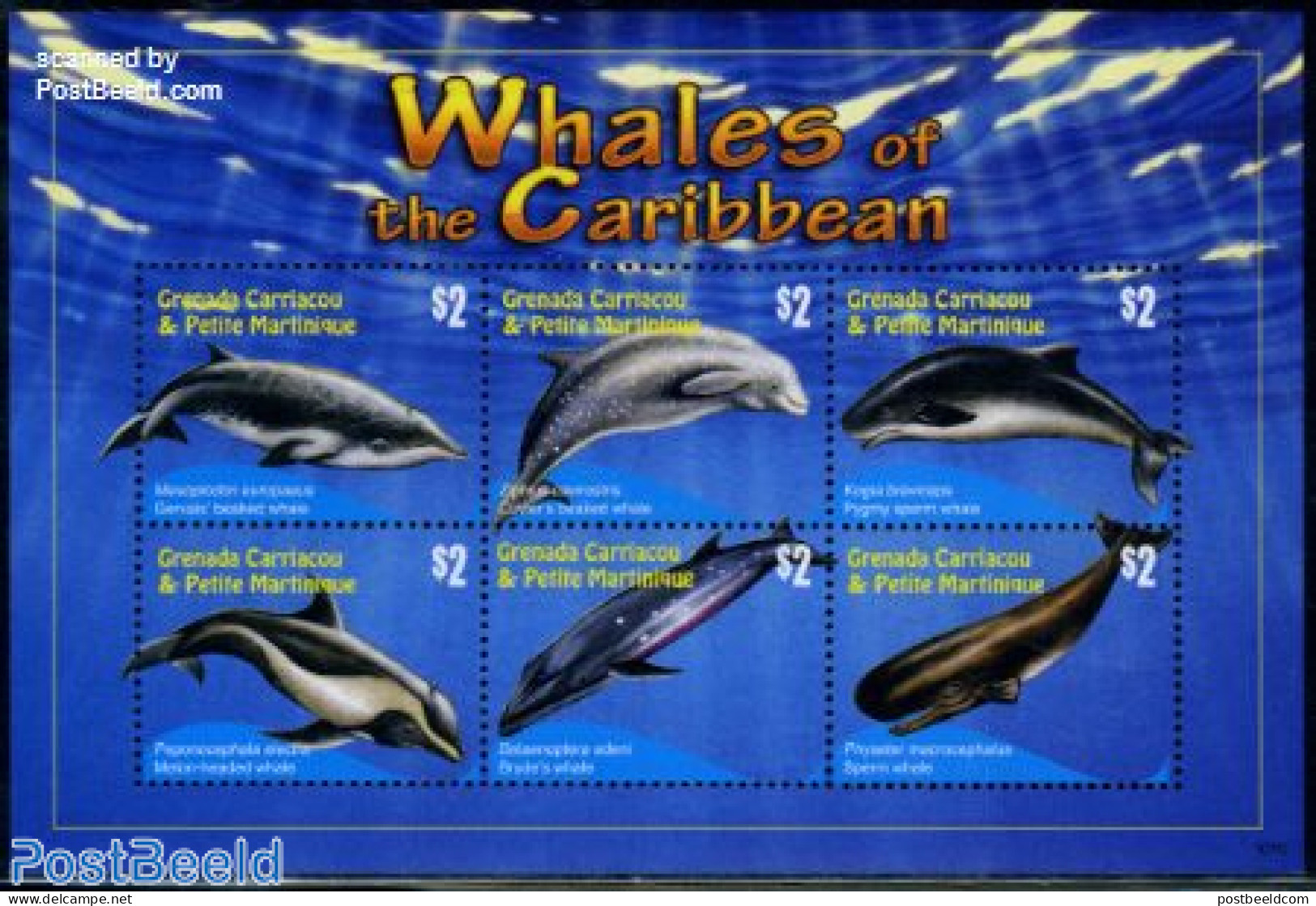 Grenada Grenadines 2010 Carriacou, Whales Of The Caribbean 6v M/s, Mint NH, Nature - Sea Mammals - Grenade (1974-...)