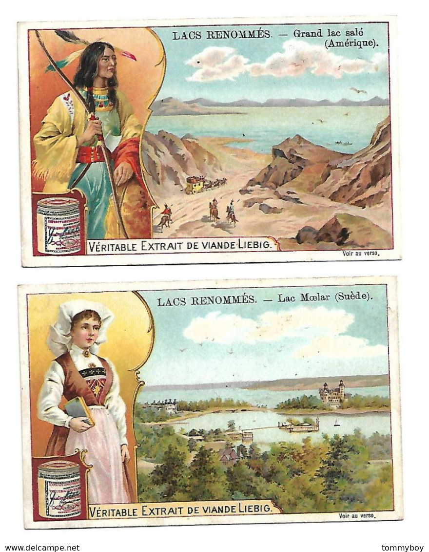 S 672 , Liebig 6 Cards, Lacs Renommés (ref B16) - Liebig