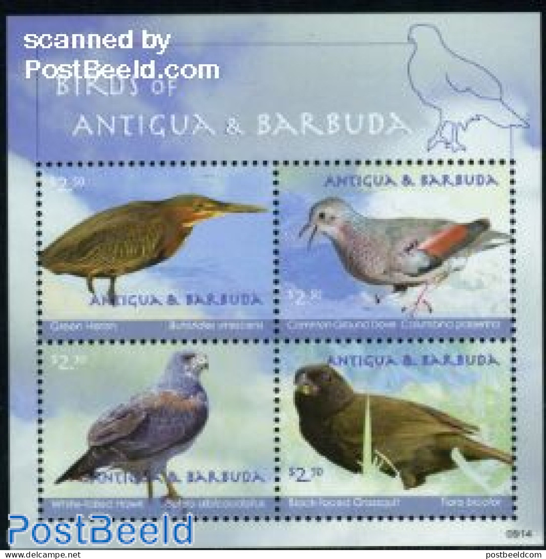 Antigua & Barbuda 2009 Birds 4v M/s, Mint NH, Nature - Birds - Birds Of Prey - Antigua And Barbuda (1981-...)