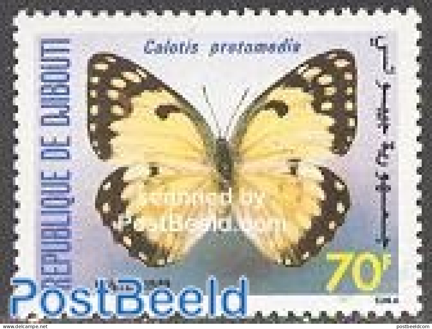 Djibouti 1989 Butterfly 1v, Mint NH, Nature - Butterflies - Djibouti (1977-...)