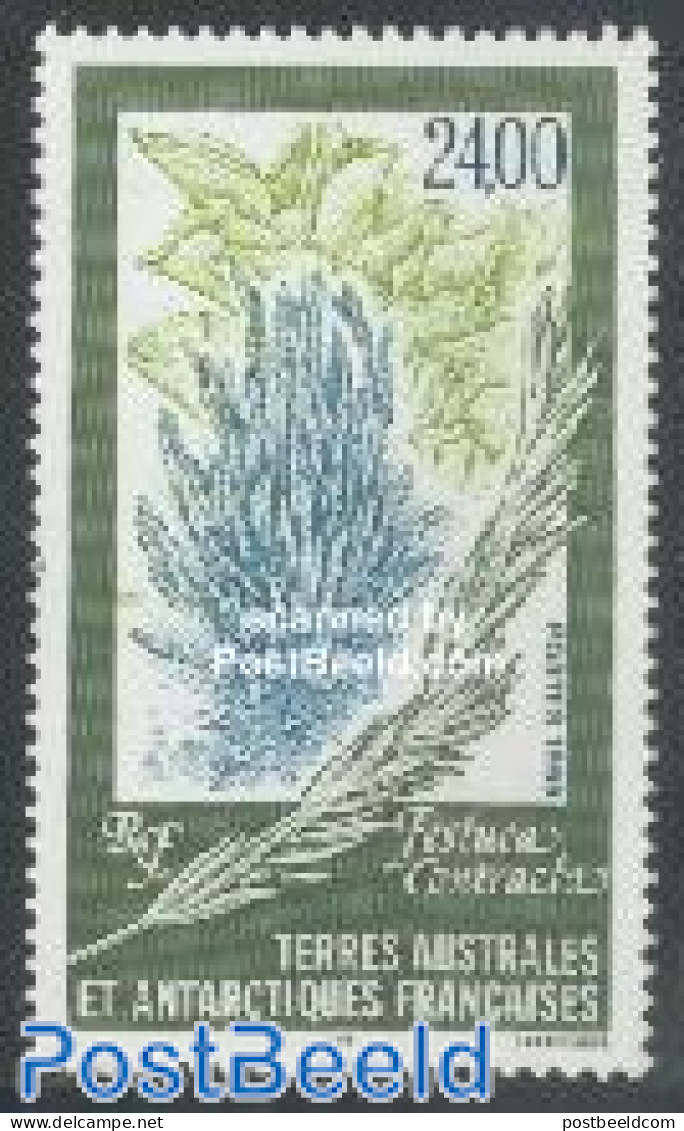 French Antarctic Territory 1999 Flora 1v, Mint NH, Nature - Flowers & Plants - Unused Stamps