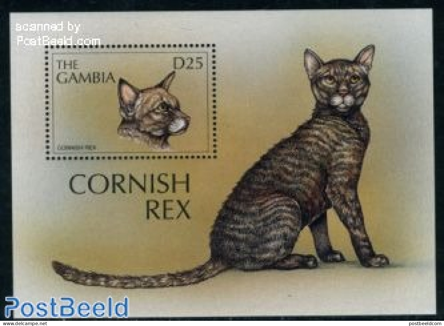 Gambia 1997 Cornish Rex S/s, Mint NH, Nature - Cats - Gambia (...-1964)