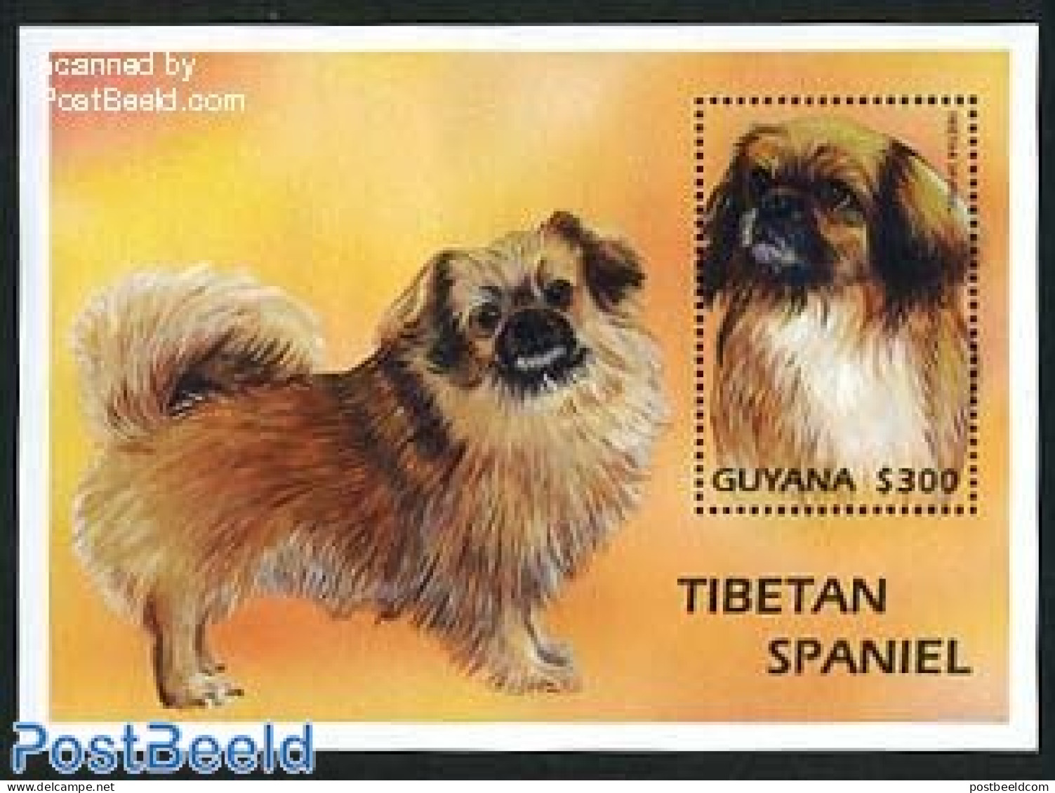 Guyana 1997 Tibet Spaniel S/s, Mint NH, Nature - Dogs - Guyane (1966-...)