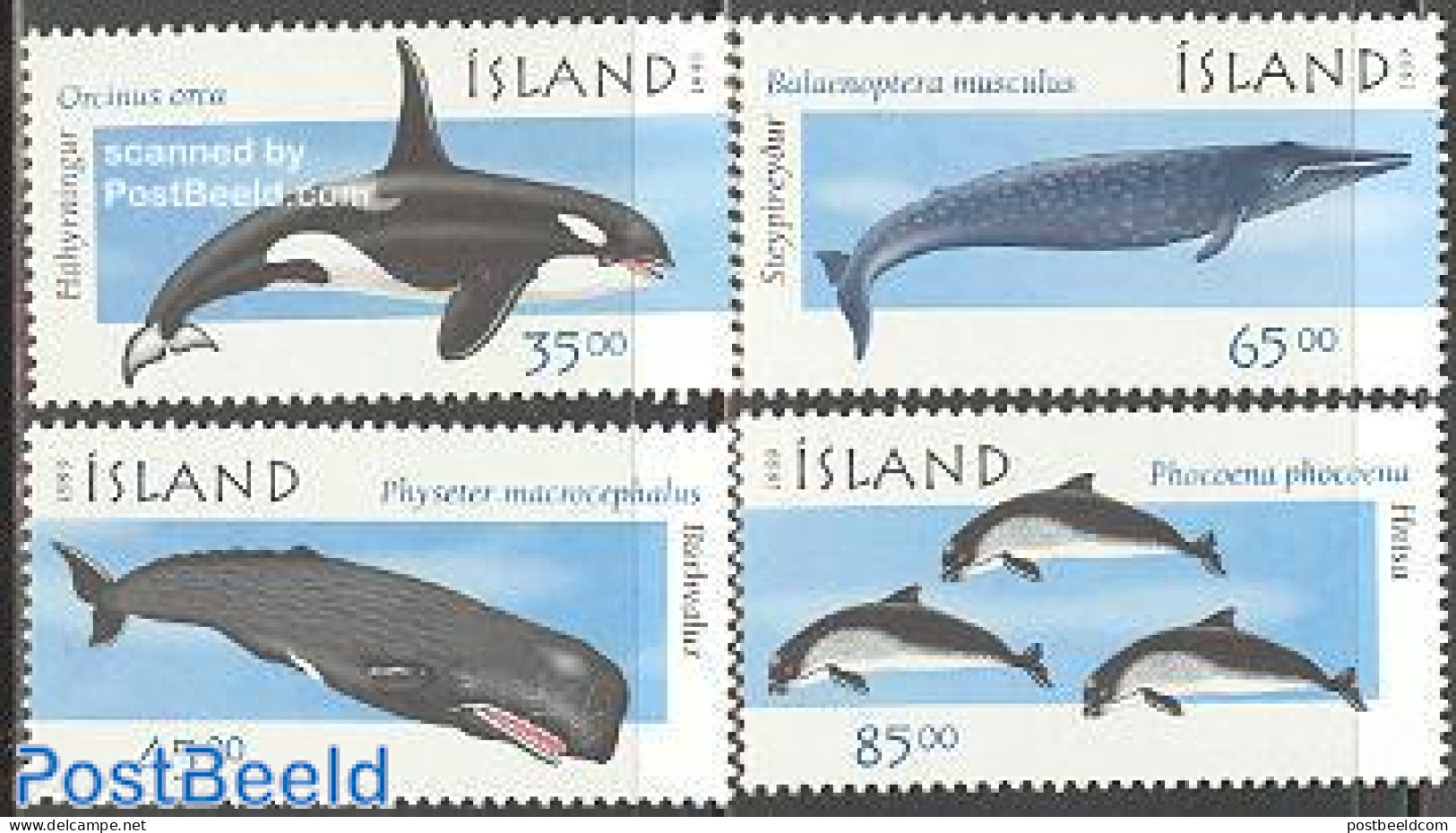 Iceland 1999 Whales 4v, Mint NH, Nature - Sea Mammals - Ungebraucht