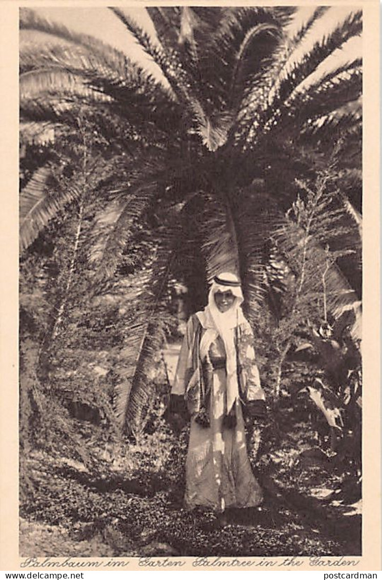 Israel - TABGHA - Palmtree In The Garden - Publ. Deutsches Hospiz - Kettling & Krüger  - Israël