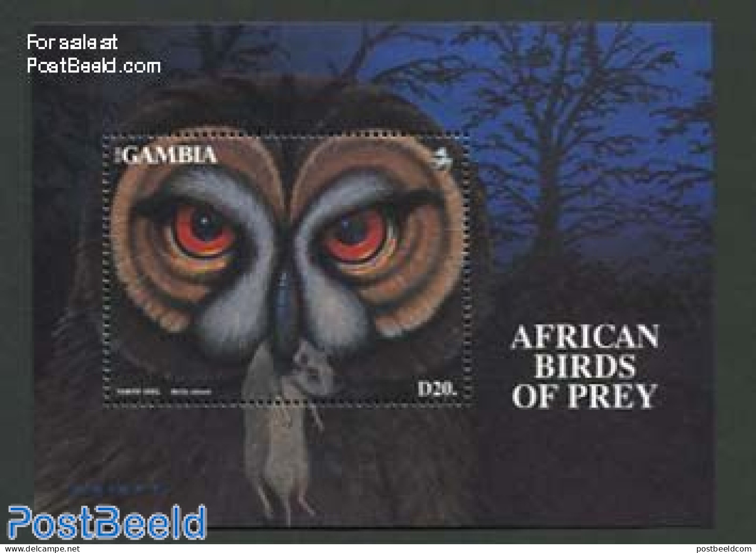 Gambia 1993 Owl S/s, Mint NH, Nature - Birds - Owls - Gambia (...-1964)