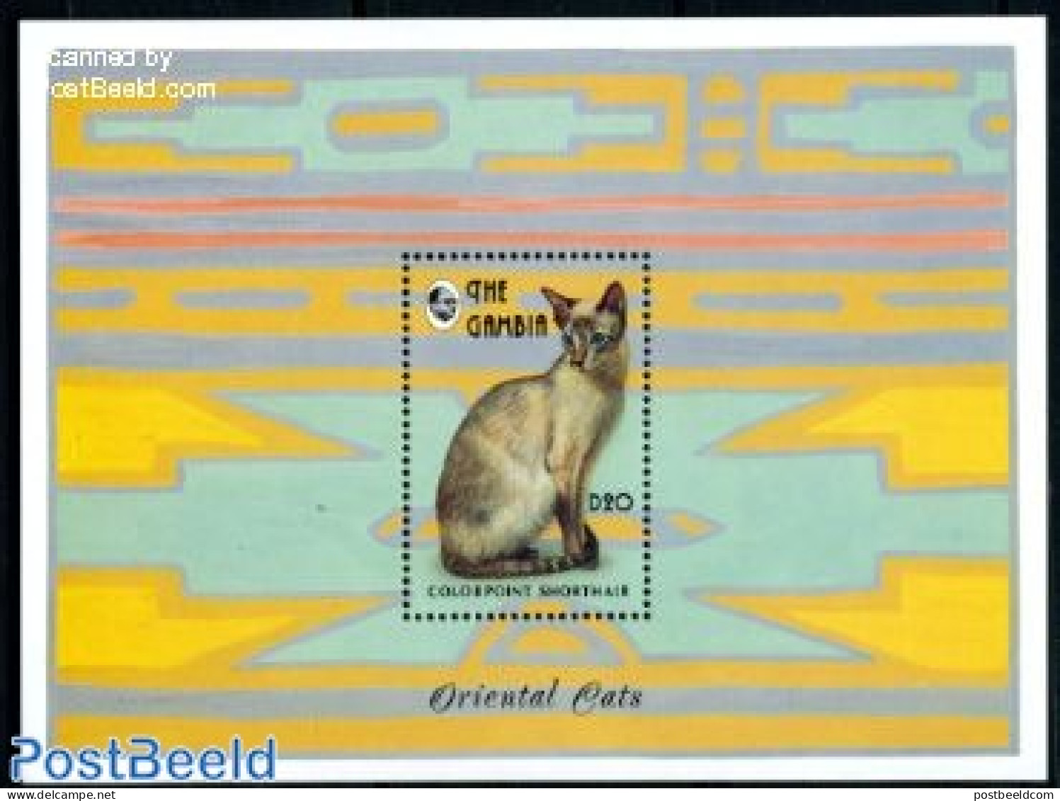 Gambia 1993 Colorpoint Cat S/s, Mint NH, Nature - Cats - Gambie (...-1964)