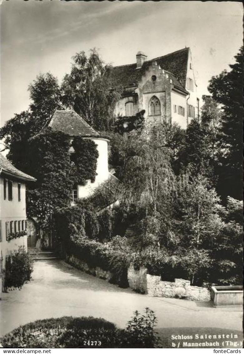 11189445 Salenstein Schloss   - Sonstige & Ohne Zuordnung