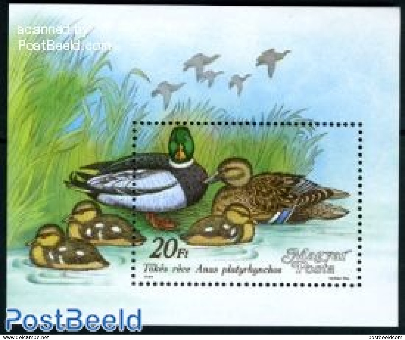 Hungary 1988 Wild Ducks S/s, Mint NH, Nature - Birds - Ducks - Unused Stamps