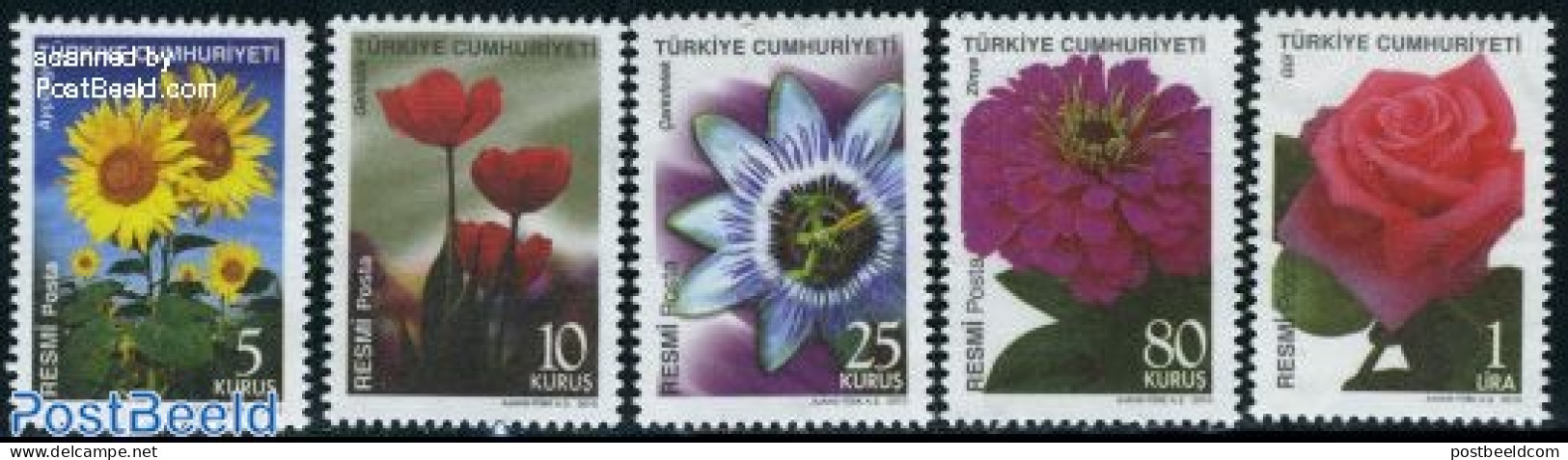 Türkiye 2010 Definitives, Flowers 5v, Mint NH, Nature - Flowers & Plants - Roses - Other & Unclassified