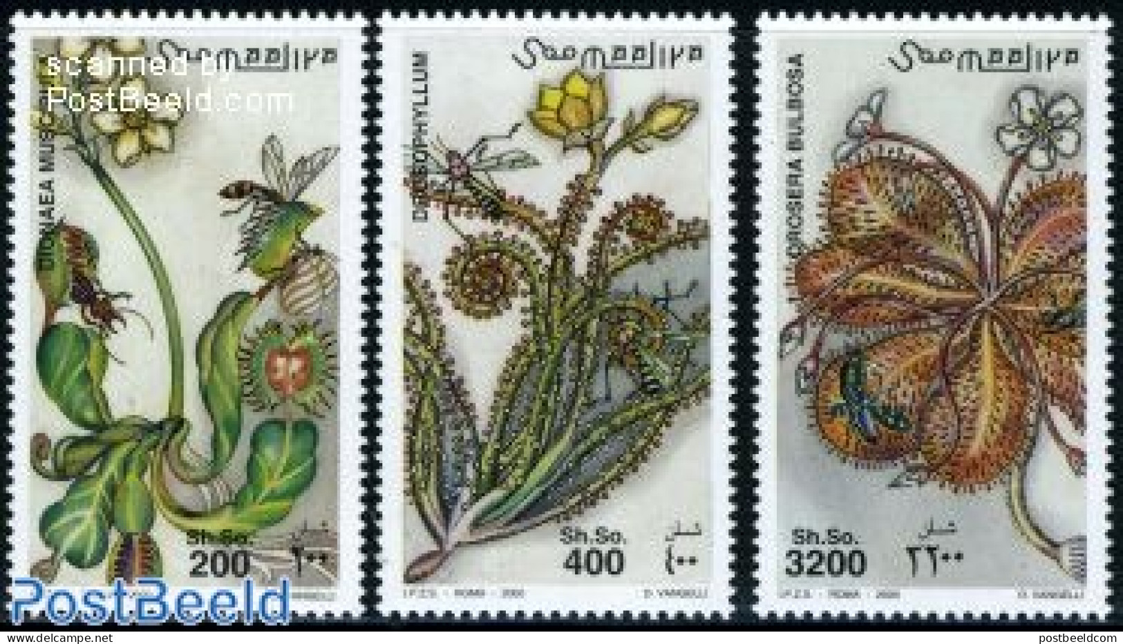 Somalia 2000 Carnifor Plants 3v, Mint NH, Nature - Flowers & Plants - Somalie (1960-...)