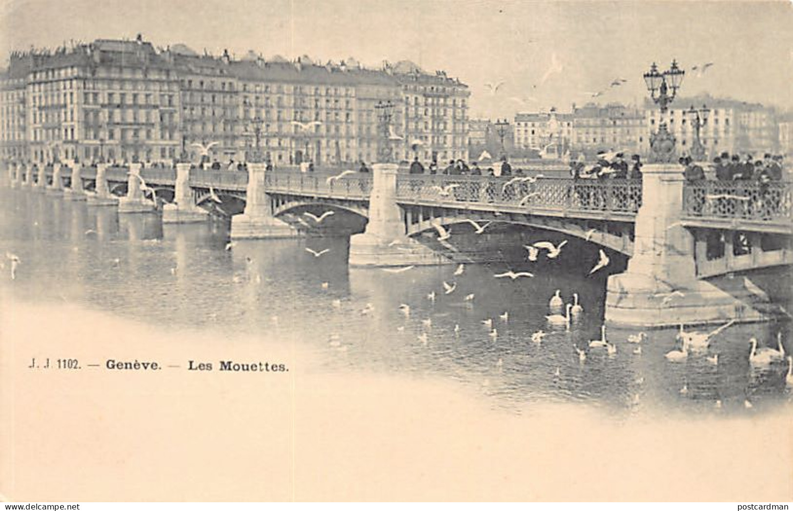 GENÈVE - Les Mouettes - Ed. J.J. Jullien 1102 - Genève