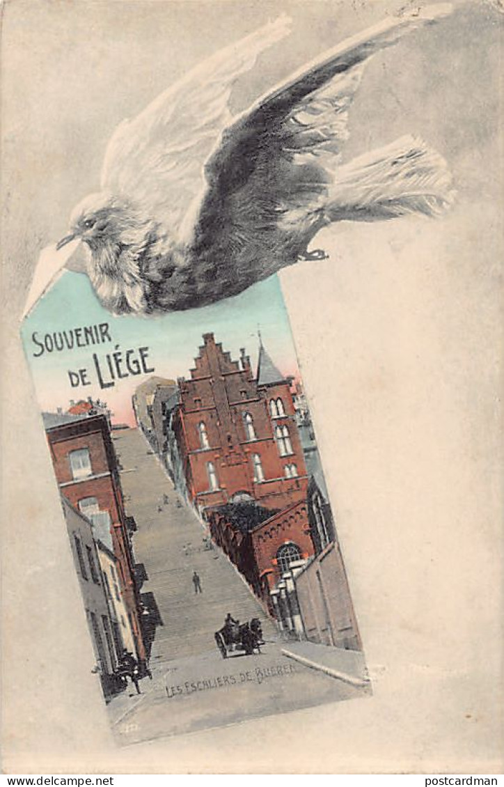 LIÈGE - Souvenir De - Les Escaliers De Bueren - Pigeon - Ed. L. R.  - Liege
