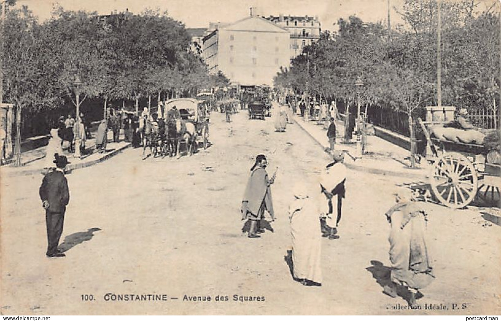 Algérie - CONSTANTINE - Avenue Des Squares - Ed. Collection Idéale P.S. 100 - Constantine