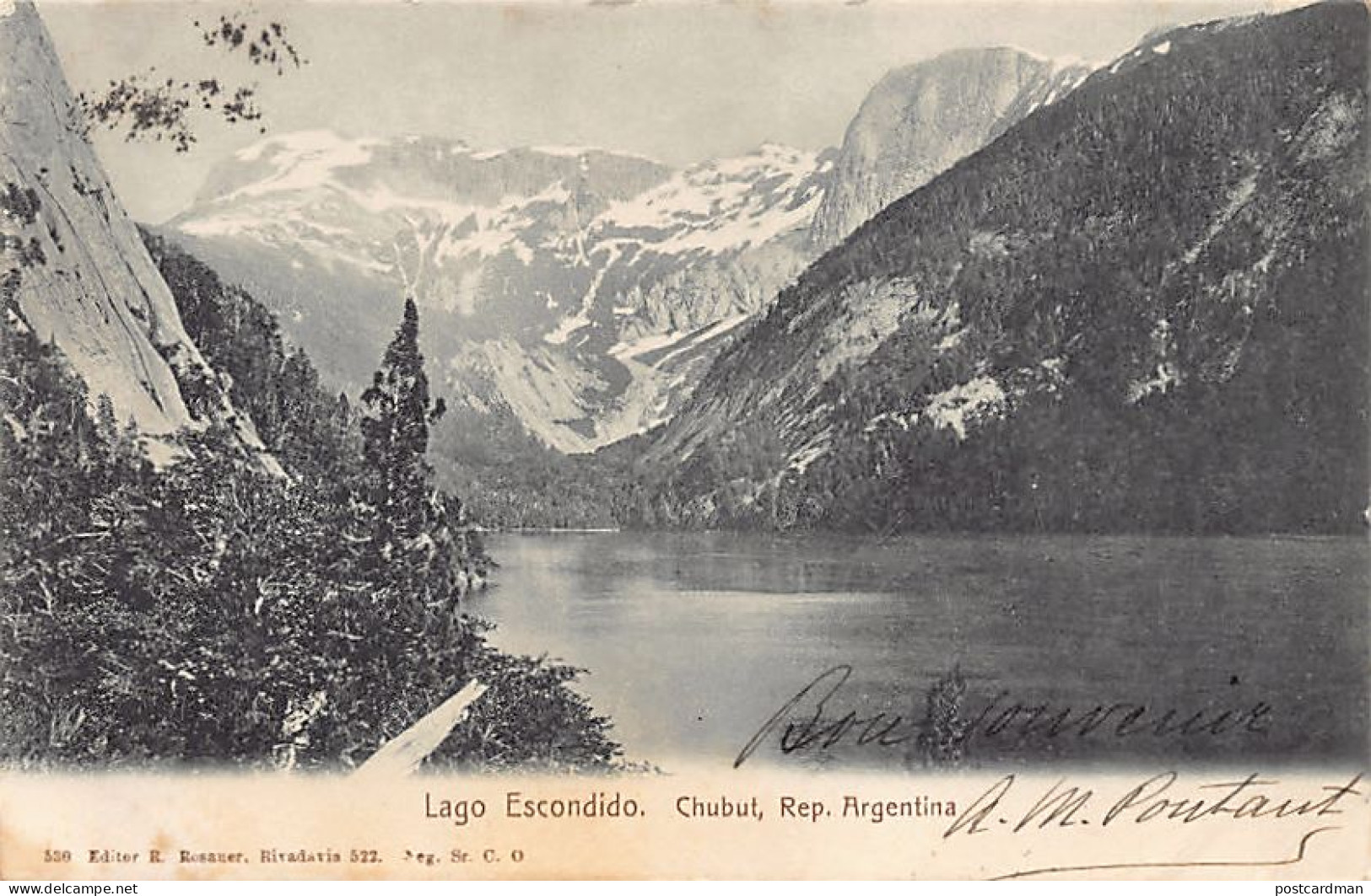 Argentina - CHUBUT - Lago Escondido - Ed. R. Rosauer 539 - Argentine