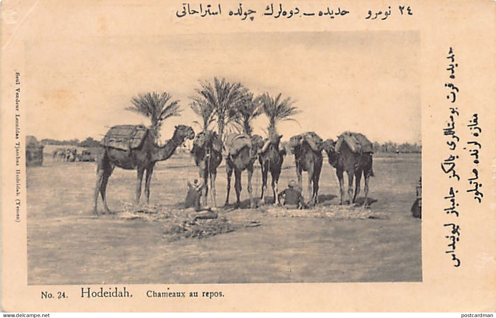 Yemen - HODEIDAH - Camels At Rest - Publ. L. Tjambaz 24. - Yémen