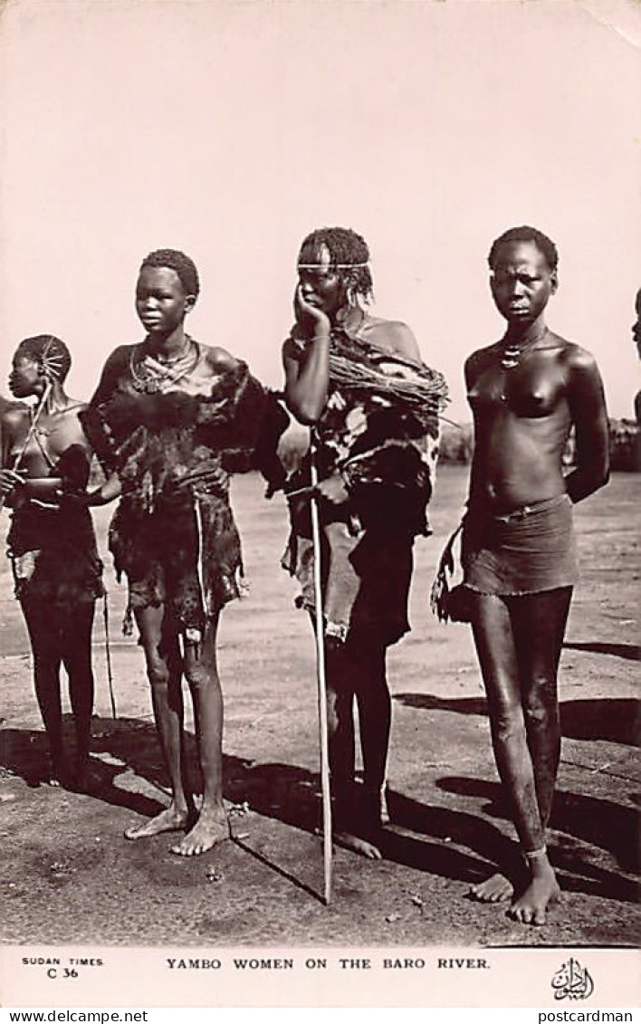 South Sudan - ETHNIC NUDE - Yambo Women On The Baro River - Publ. Sudan Times C36 - Soudan